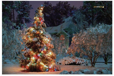 

Pics And You Pics And You Christmas Themed 53 Laptop Skin Vinyl Laptop Decal 15.6