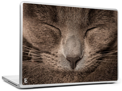 

Print Shapes Cat sleeping cover Vinyl Laptop Decal 15.6
