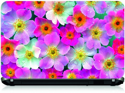 

Box 18 Pink Flowers278 Vinyl Laptop Decal 15.6