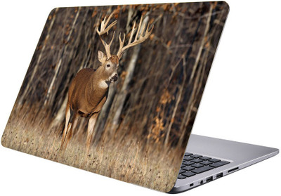 

Printclub Multicolor-174 Vinyl Laptop Decal 15.6
