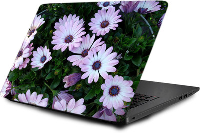 

Printclub Laptop Skin decal 15.6 inch- Laptop skin-690 Vinyl Laptop Decal 15.6