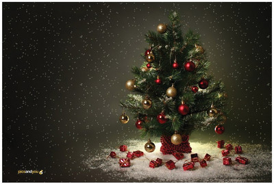 

Pics And You Pics And You Christmas Themed 113 Laptop Skin Vinyl Laptop Decal 15.6