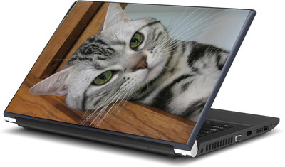 

Artifa Cute Cat Amazing Vinyl Laptop Decal 15.6