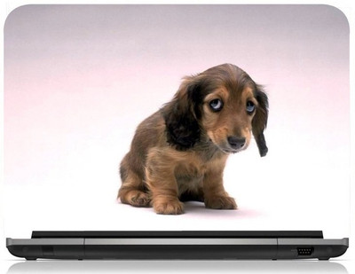 

Box 18 Pet Dog1364 Vinyl Laptop Decal 15.6
