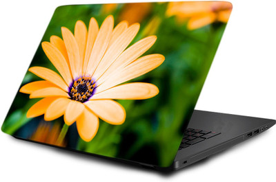 

Printclub Laptop Skin decal 15.6 inch- Laptop skin-590 Vinyl Laptop Decal 15.6