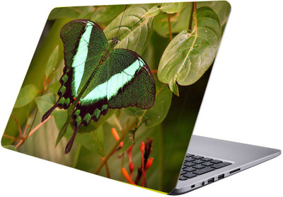 

Printclub Designer-289 Vinyl Laptop Decal 15.6