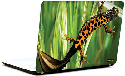 Pics And You Animal Themed 277 3M/Avery Vinyl Laptop Decal 15.6