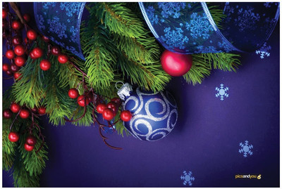 

Pics And You Pics And You Christmas Themed 267 Laptop Skin Vinyl Laptop Decal 15.6