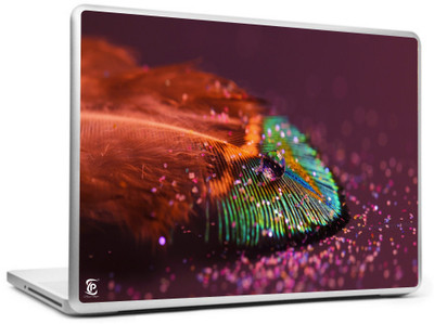 

Print Shapes Water On Feather Vinyl Laptop Decal 15.6