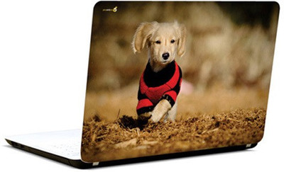

Pics And You Puppy With Poise Vinyl Laptop Decal 15