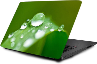 

Printclub Laptop Skin decal 15.6 inch- Laptop skin-579 Vinyl Laptop Decal 15.6