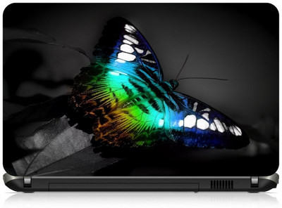 

Box 18 Vibrant Butterfly 1713 Vinyl Laptop Decal 15.6