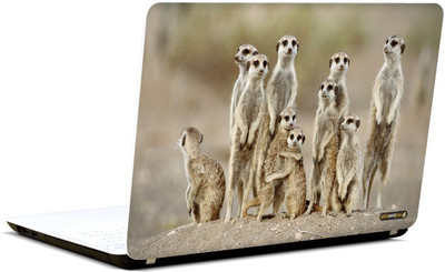 

Pics And You Animal Themed 163 3M/Avery Vinyl Laptop Decal 15.6