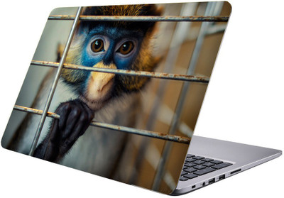 

Printclub Multicolor-037 Vinyl Laptop Decal 15.6