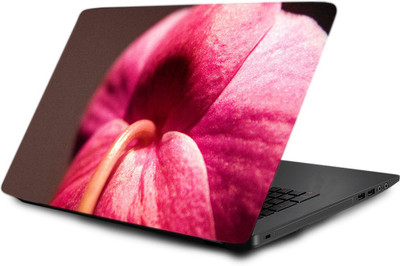 

Printclub Laptop Skin decal 15.6 inch- Laptop skin-713 Vinyl Laptop Decal 15.6