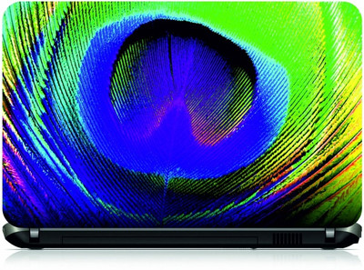 Box 18 Peacock Feather34566 Vinyl Laptop Decal 15.6
