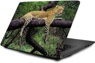 

Printclub Laptop Skin decal 15.6 inch- Laptop skin-741 Vinyl Laptop Decal 15.6
