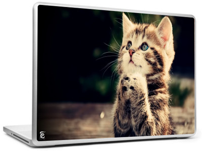 

Print Shapes Cat praying Vinyl Laptop Decal 15.6