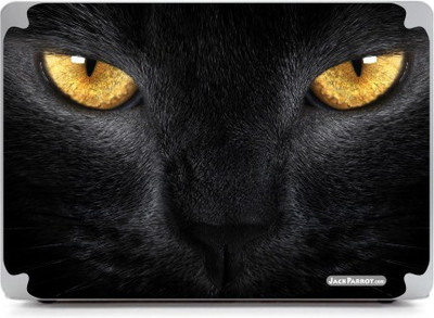 

Jack Parrot Black Leopard Vinyl Laptop Decal 13