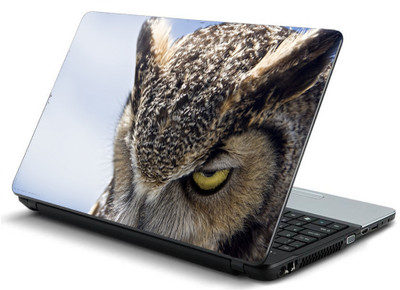 

Geek OWL EYES EVIL HEAVEN Laminated Vinyl Laptop Decal 15.6