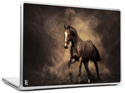 

Print Shapes Horse shadow smoke dust color Vinyl Laptop Decal 15.6