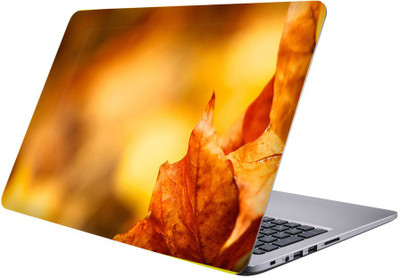 

Printclub Designer-220 Vinyl Laptop Decal 15.6