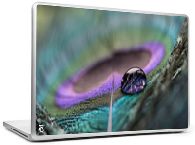 

Print Shapes Feather with water drop Vinyl Laptop Decal 15.6