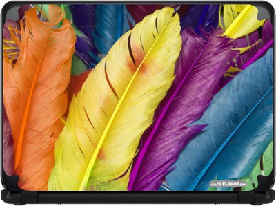

Jack Parrot Feathers Vinyl Laptop Decal 14