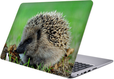 

Printclub Multicolor-149 Vinyl Laptop Decal 15.6