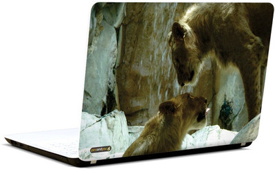 

Pics And You Animal Themed 210 3M/Avery Vinyl Laptop Decal 15.6