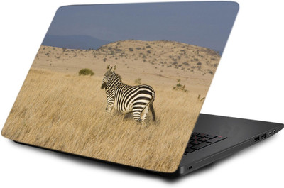 

Printclub Laptop Skin decal 15.6 inch- Laptop skin-404 Vinyl Laptop Decal 15.6