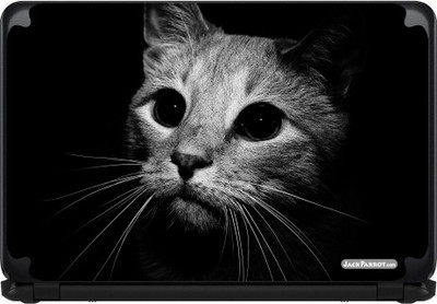 

Jack Parrot Kitten Vinyl Laptop Decal 14