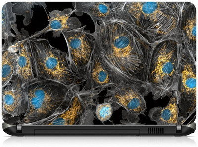 

Box 18 Endothelial Cells 1933 Vinyl Laptop Decal 15.6