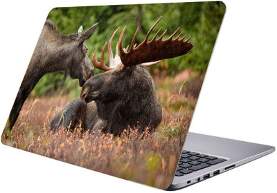 

Printclub Multicolor-013 Vinyl Laptop Decal 15.6
