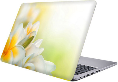 

Printclub Designer-325 Vinyl Laptop Decal 15.6
