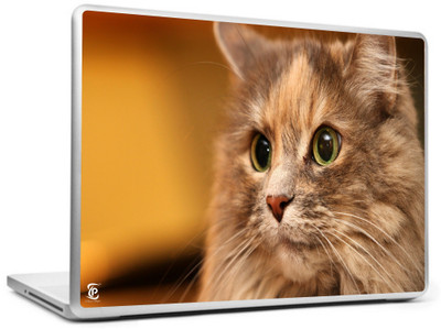 

Print Shapes Cat face eyes fluffy Vinyl Laptop Decal 15.6