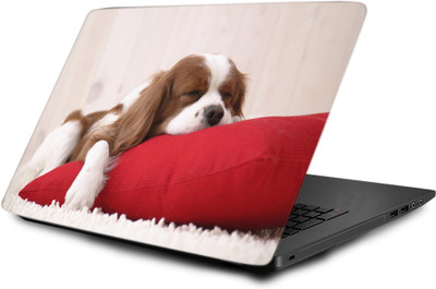 

Printclub Laptop Skin decal 15.6 inch- Laptop skin-792 Vinyl Laptop Decal 15.6