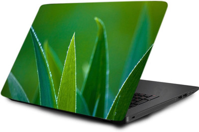

Printclub Laptop Skin decal 15.6 inch- Laptop skin-501 Vinyl Laptop Decal 15.6