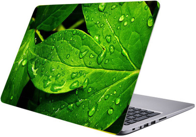 

Printclub Designer-213 Vinyl Laptop Decal 15.6