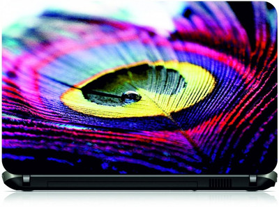

Box 18 Peacock Feather 3479 Vinyl Laptop Decal 15.6