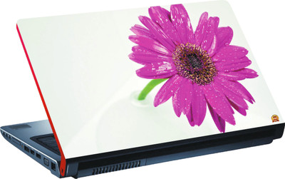 

Dspbazar DSP BAZAR 10210 Vinyl Laptop Decal 15.6