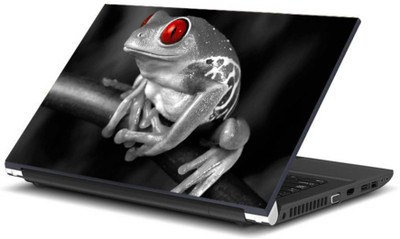 

Print Shapes Grey frog Vinyl Laptop Decal 15.6