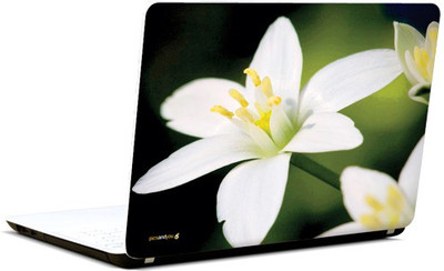 

Pics and You Isle Of White Vinyl Laptop Decal 15.6