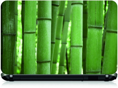 

Box 18 Green Bamboos211 Vinyl Laptop Decal 15.6