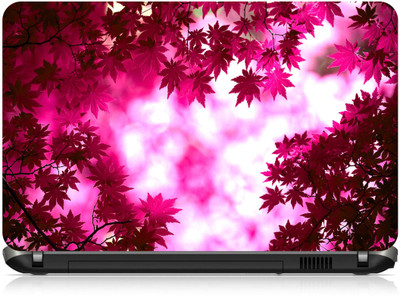 

Box 18 Maple Voiletleaves694 Vinyl Laptop Decal 15.6