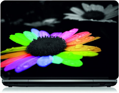 

Box 18 Colourful Flower Vinyl Laptop Decal 15.6