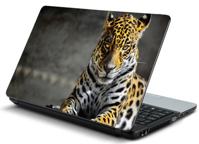 

Geek cheetah Focus HQ Laminated Vinyl Laptop Decal 15.6