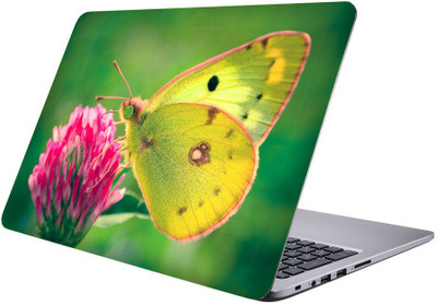 

Printclub Multicolor-368 Vinyl Laptop Decal 15.6