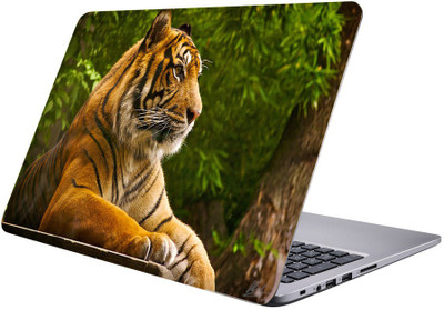 

Printclub Multicolor-070 Vinyl Laptop Decal 15.6