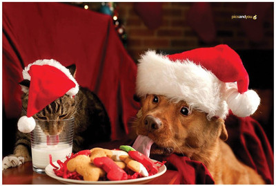 

Pics And You Pics And You Christmas Themed 225 Laptop Skin Vinyl Laptop Decal 15.6